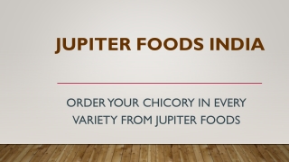 Order your chicory in every variety from Jupiter Foods