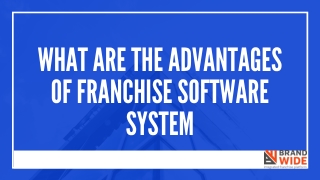 What are the advantages of Franchise Software System