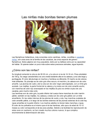 Las Ninfas Más Bonitas Tienen Plumas
