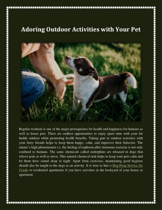 Adoring Outdoor Activities with Your Pet