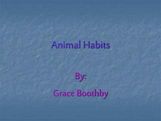 Animal Habits