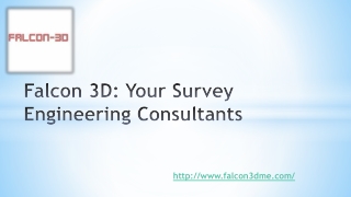 Falcon 3D: Your Survey Engineering Consultants