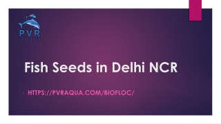 Fish Seeds in Delhi NCR-PVR AQUA