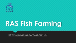 RAS Fish Farming -PVR AQUA