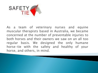 Safe T Tie Horse Tie