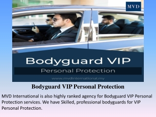 Bodyguard VIP Personal Protection