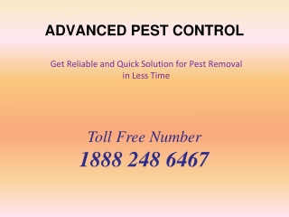 Advanced Pest Control is available 24/7