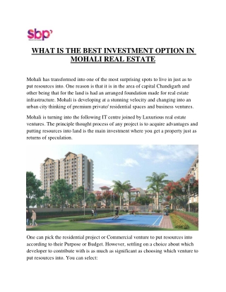 WHAT IS THE BEST INVESTMENT OPTION IN MOHALI REAL ESTATE