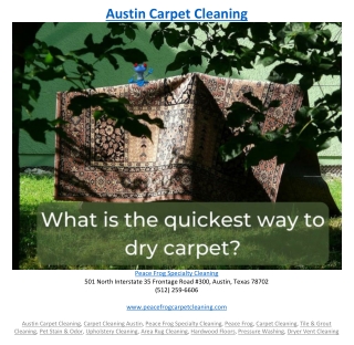 Austin Carpet Cleaning