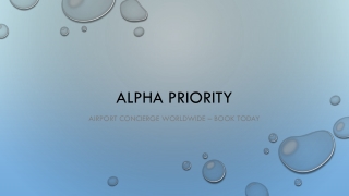 Alpha Travel Agent | Airport VIP Concierge | Alpha Priority