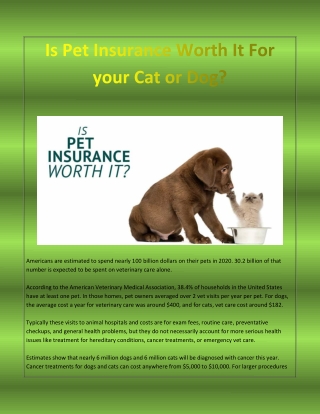 Is Pet Insurance Worth It For Your cat or Dog?