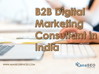 B2B Digital Marketing Consultant in India - www.anaseoservices.com