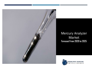 Mercury Analyzer Market to be Worth US$95.397 million by 2025
