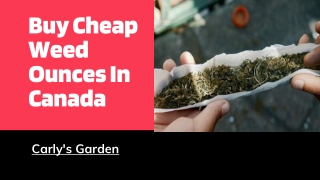 Buy Cheap Weed Ounces In Canada - Carly's Garden