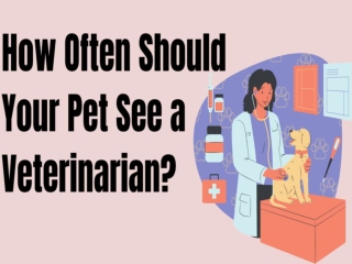 How Often Should Your Pet See A Veterinarian?