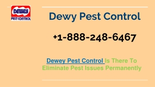 Dewey Pest Control