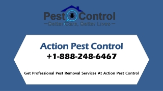 Action Pest Control is available with advance technology