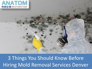3 Things to Consider While Hiring A Mold Removal Services In Denver