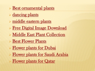 best ornamental plants