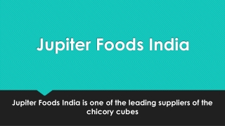 Jupiter Foods India is one of the leading suppliers of the chicory cubes