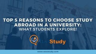 Top 5 Reasons to Choose Study Abroad in a University: What Students explore!