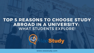 Top 5 Reasons to Choose Study Abroad in a University: What Students explore!