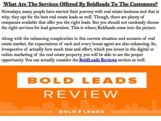What Are The Services Offered By Boldleads To The Customers?