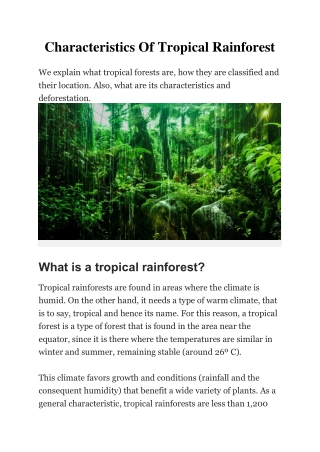 Characteristics Of Tropical Rainforest