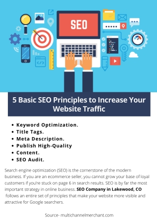 5 Basic SEO Principles to Increase Your Website Traffic