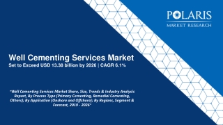 Well Cementing Services Market Share, Size, Trends & Industry Analysis Report, By Process Type (Primary Cementing, Remed