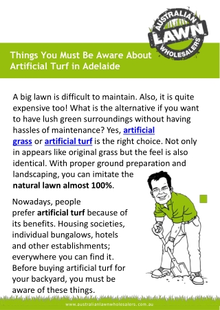 Things You Must Be Aware About Artificial Turf in Adelaide