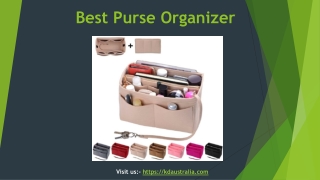 Best Purse Organizer