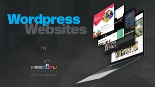 Our Top Collection of WordPress based Websites!