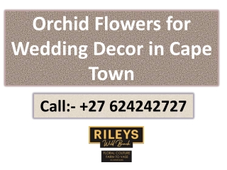 Orchid Flowers for Wedding Decor in Cape Town