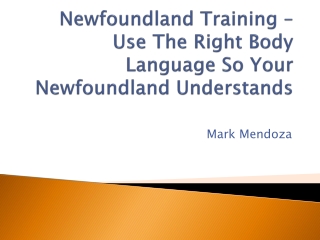 Newfoundland Training
