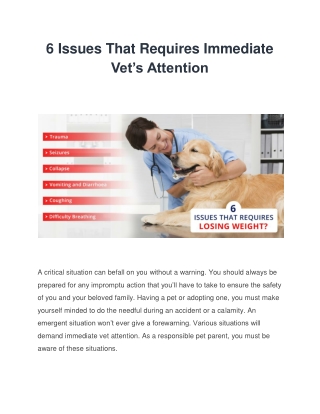 6 Issues That Requires Immediate Vet’s Attention
