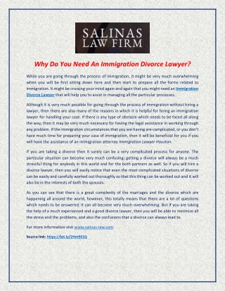 Why Do You Need An Immigration Divorce Lawyer
