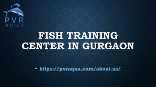 Fish Training center in Gurgaon