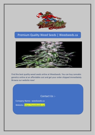 Premium Quality Weed Seeds | Weedseeds.ca