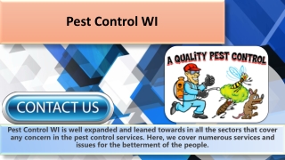 Pest control WI Offers high quality service in the city