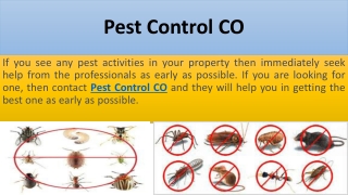 Pest control CO offers you pest control at an affordable price