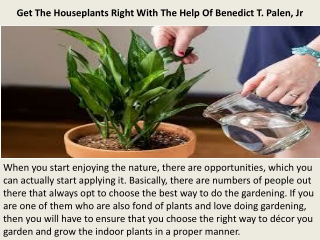 Get The Houseplants Right With The Help Of Benedict T. Palen, Jr