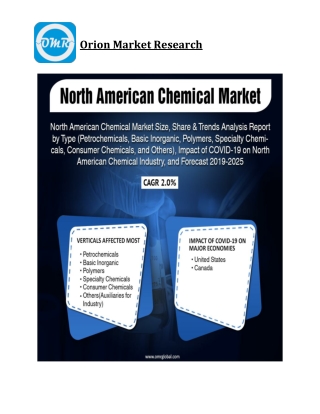 North American Chemical Market Size, Competitive Analysis, Share, Forecast- 2019-2025