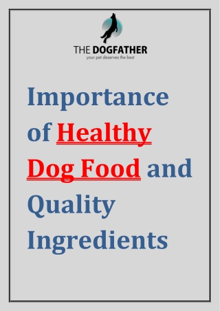 Importance of Healthy Dog Food And Quality Ingredients