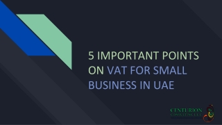 5 Important Points On Vat For Small Business In Uae