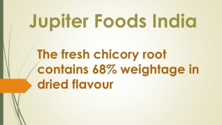 The fresh chicory root contains 68% weightage in dried flavour