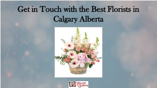 Get in Touch with the Best Florists in Calgary Alberta