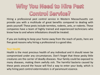 Why You Need to Hire Pest Control Service?