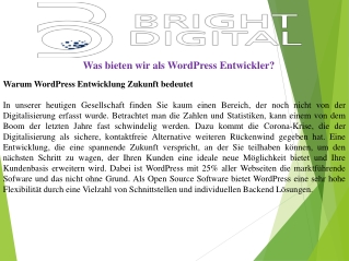 Was bieten wir als WordPress Entwickler?