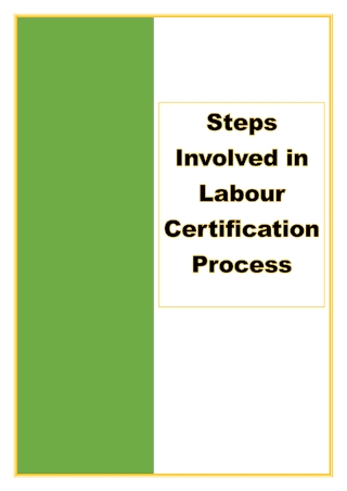 Steps Involved In Labour Certification Process